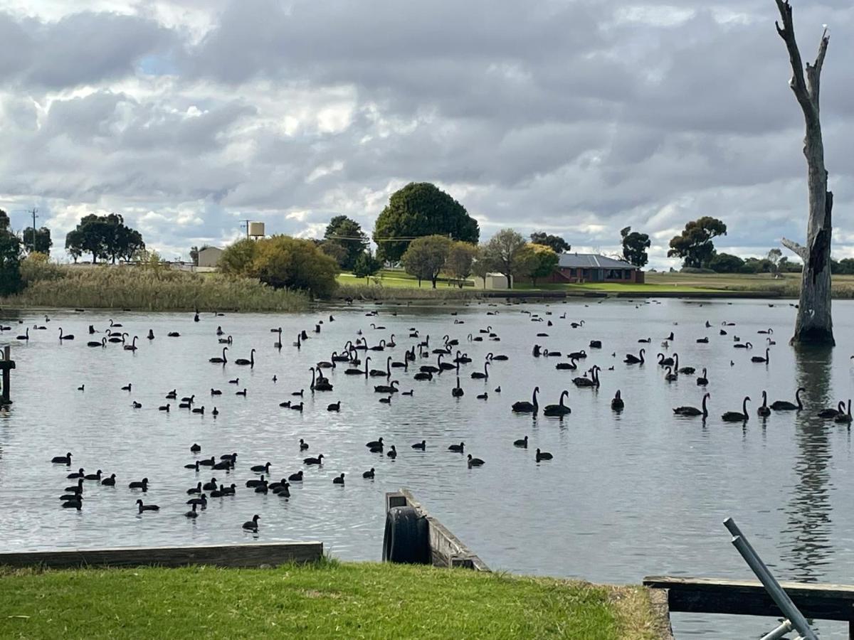 Tasman Holiday Parks - Lake Mulwala Εξωτερικό φωτογραφία